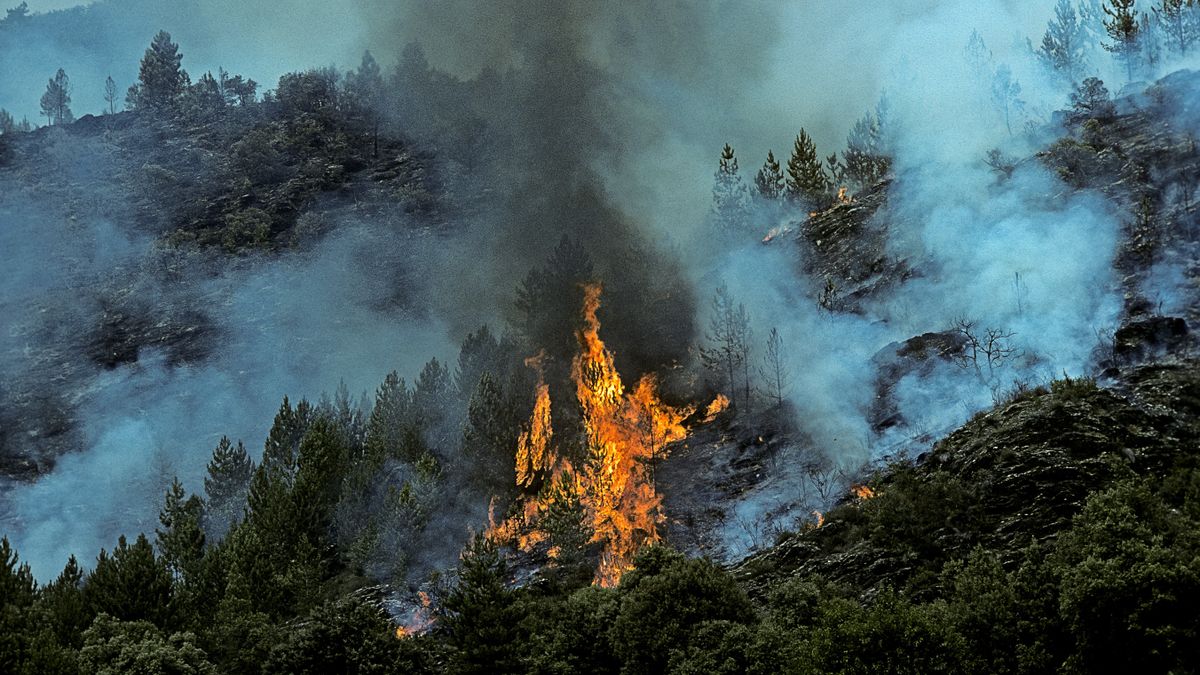 Wildfire on mountain