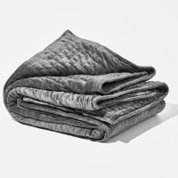 2. Gravity Weighted Blanketfrom $250 $94.99 at Gravity