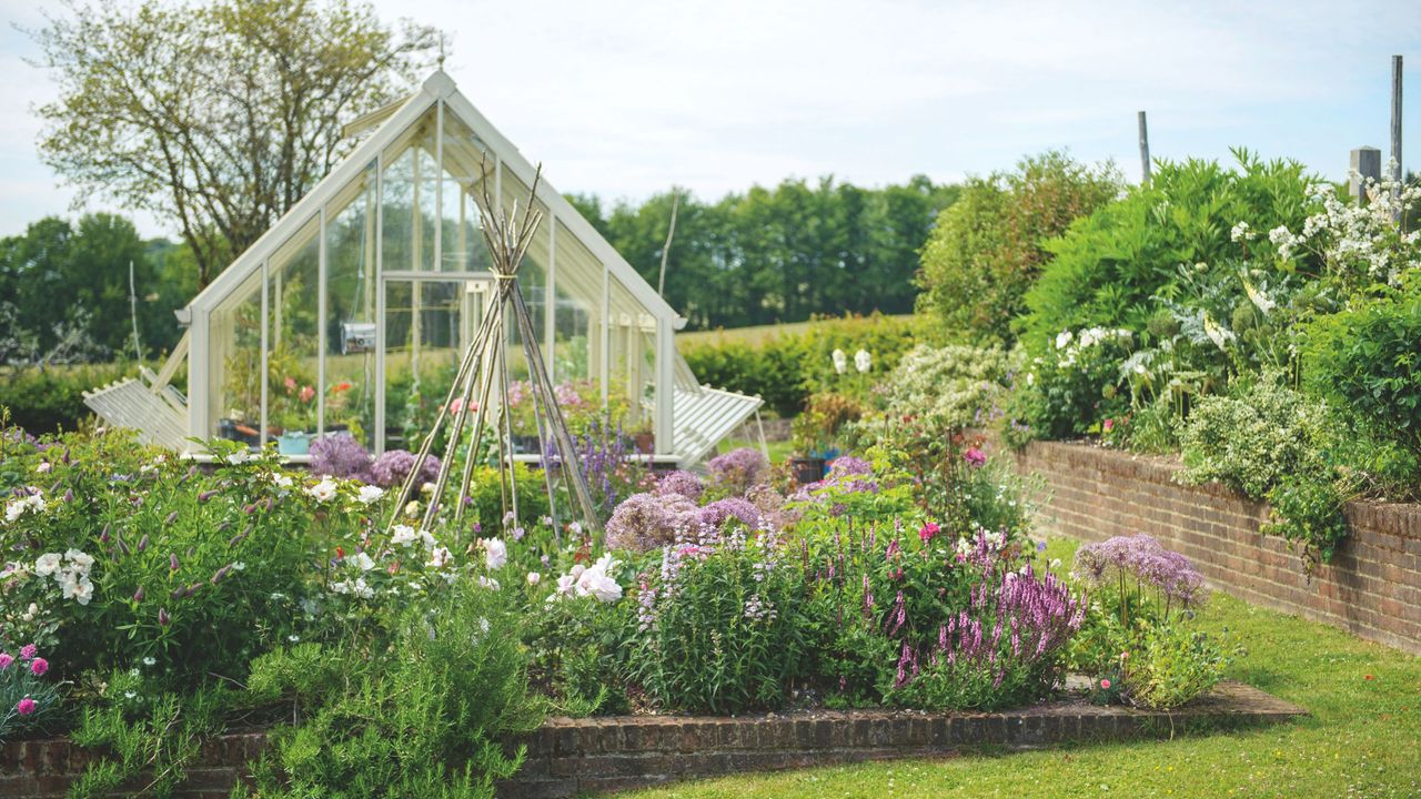 Greenhouse behind raised flower beds with flowering plants and garden wigwam