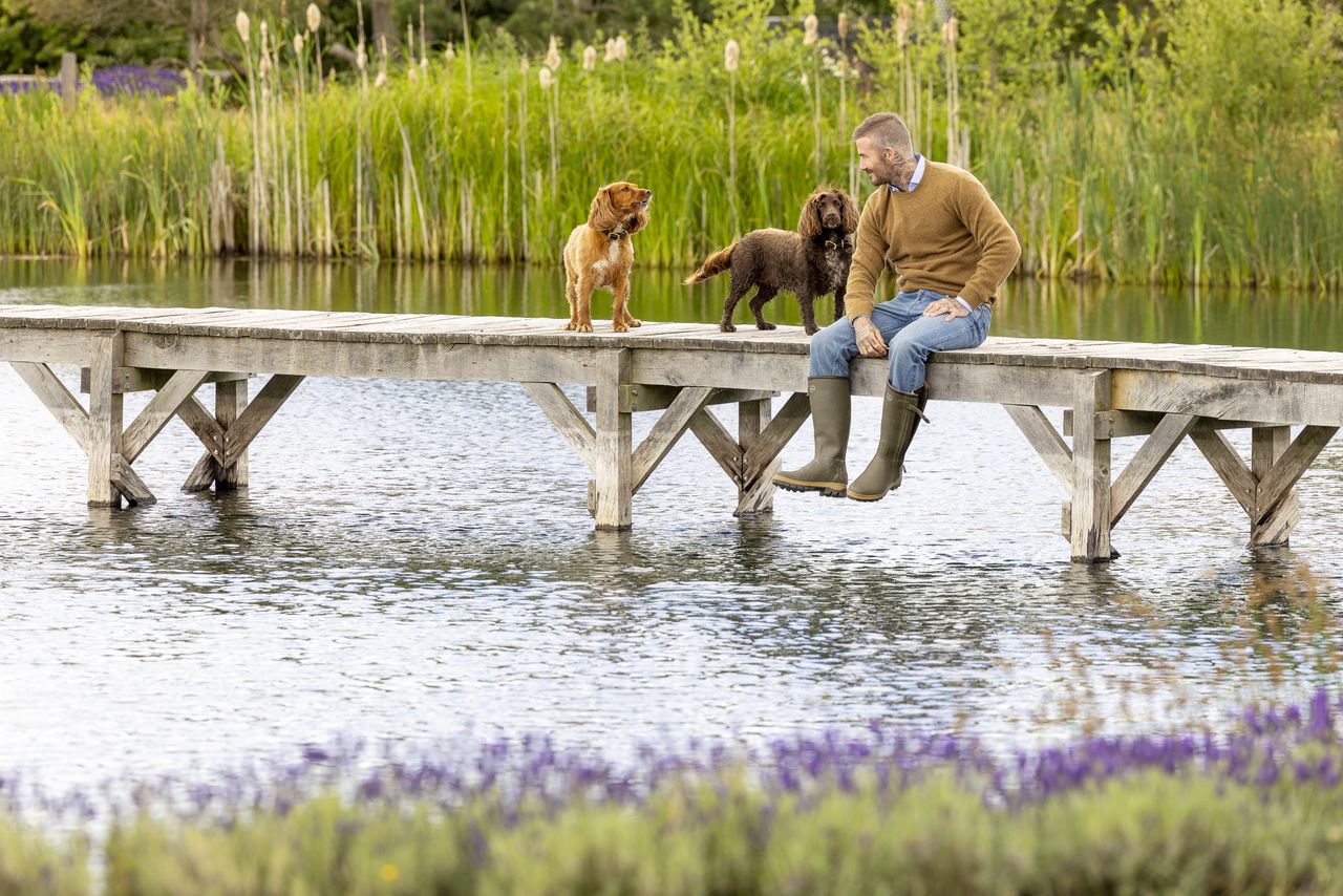 David Beckham is pictured enjoying the countryside with his two Cocker spaniels &mdash; one golden, one brown &mdash; in a series of relaxed outdoor scenes. He&rsquo;s seen sitting on the back of a green Land Rover surrounded by wildflowers, sharing an affectionate moment with one of his dogs, walking them across the lawn beside a white picket fence and glasshouse, and sitting by the water&rsquo;s edge on a wooden bridge bordered by reeds and lavender. In another image, he sits on garden steps lined with purple blooms, his spaniels at his side, perfectly capturing the easy charm of country life.