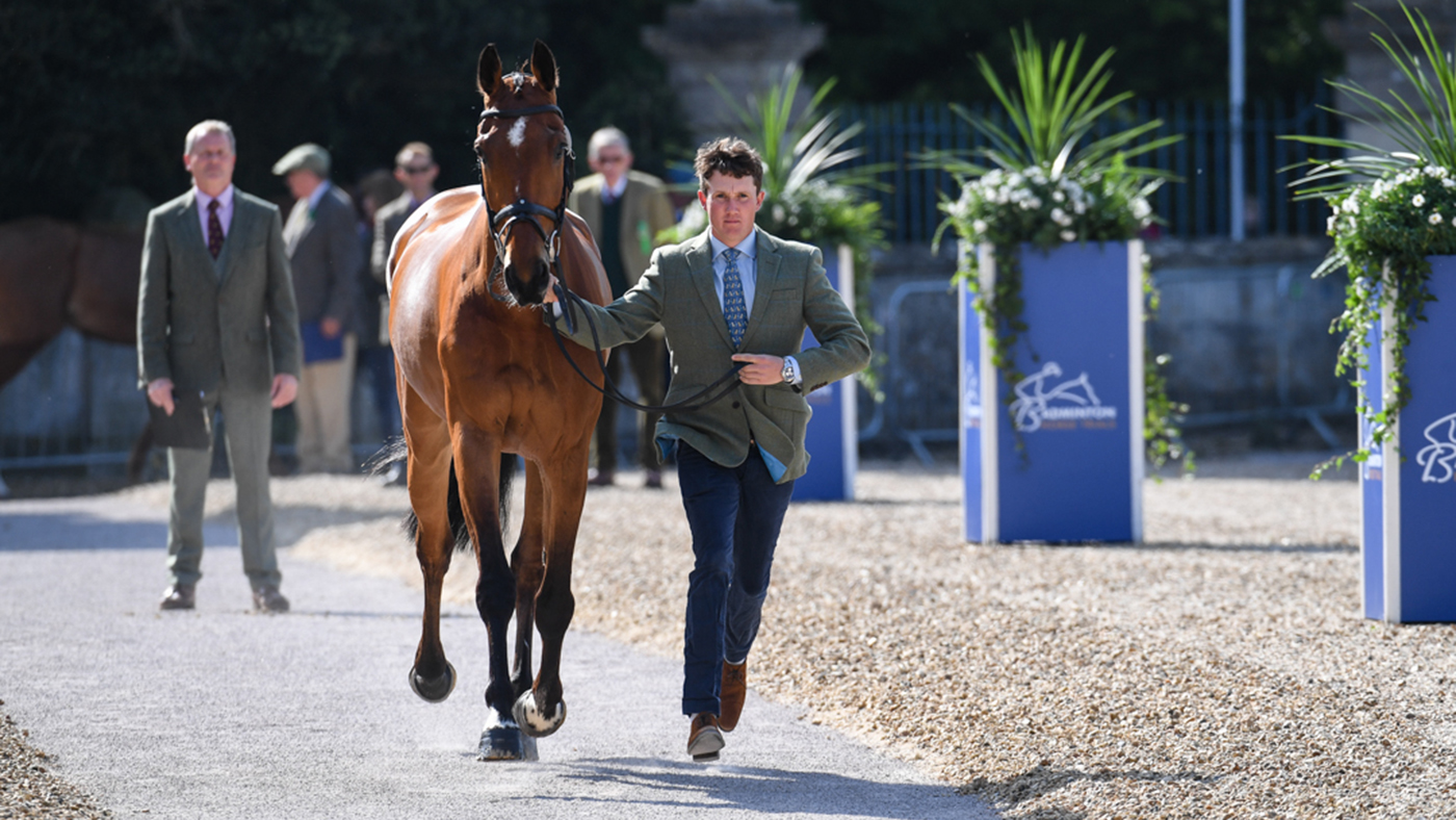 Badminton Horse Trials trot-up fashion: Tom McEwen and Toledo De Kerser