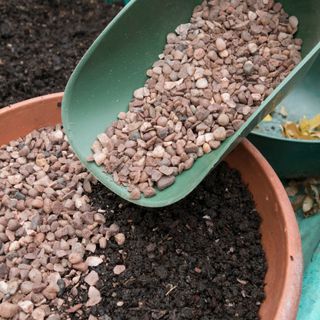 pot with soil and horticultural grit