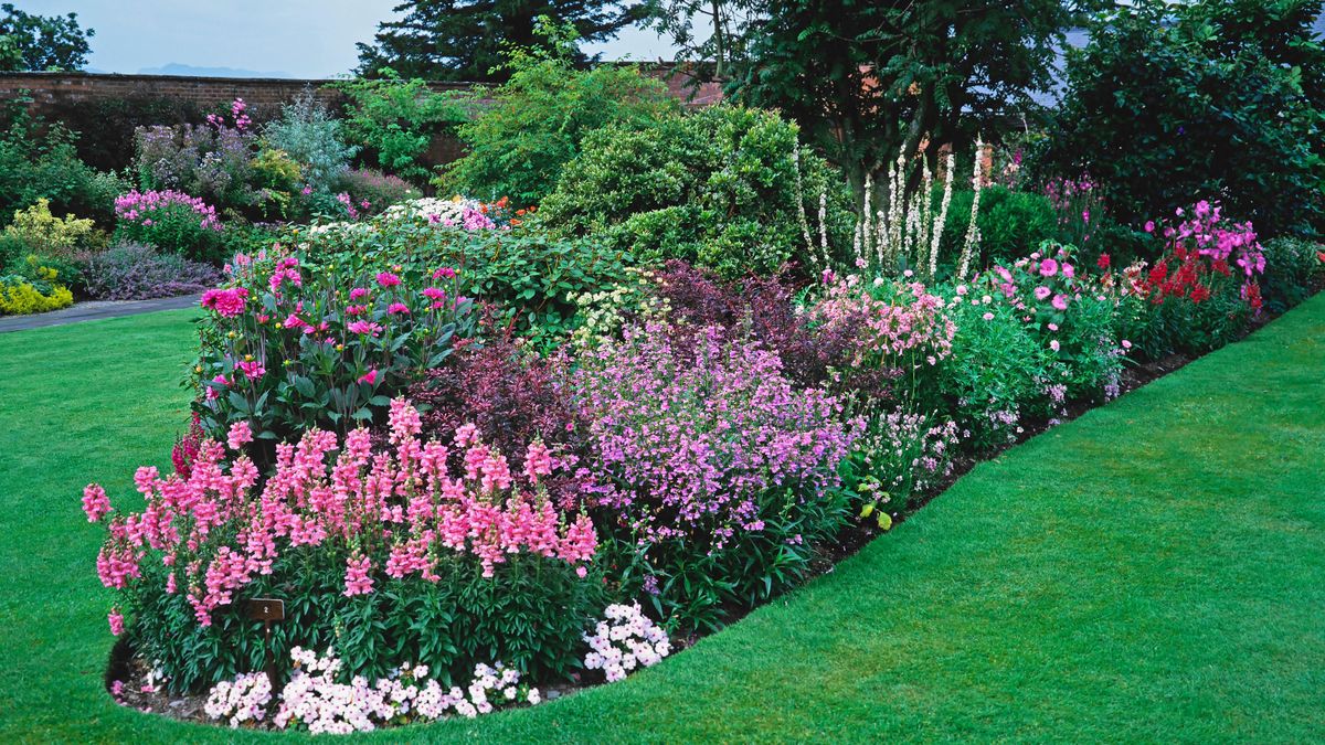 Are bedding annuals sustainable? Andy Sturgeon gives an expert view ...