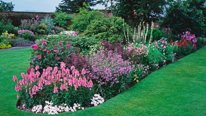A large Pink flower border in a country garden