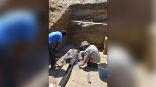 Two men crouch in an excavated area and look at a long blackened piece of wood.