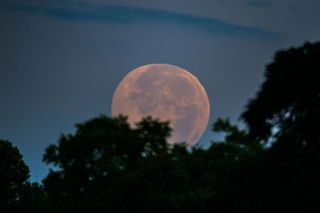 A gorgeous shot of the "Strawberry Moon" on June 20, 2016, from Photographer Greg Hogan, taken in Kathleen, Georgia.