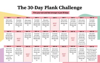 The 30-day plank challenge PDF