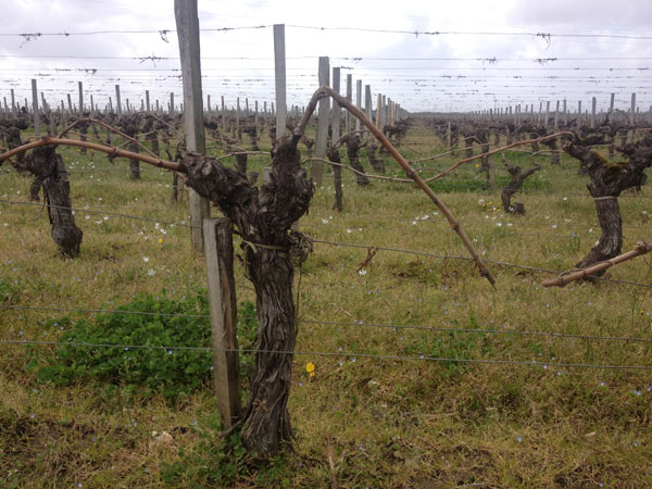 Bordeaux 2012 en primeur