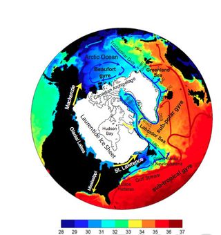 Model of changes in ocean salinity from massive Arctic flood