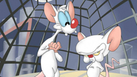 Image Image