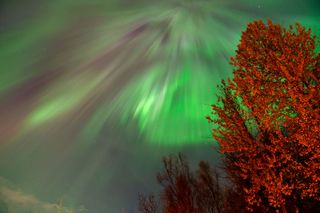 Northern lights (Aurora Borealis) illuminate the sky in Alaska, United States on October 07, 2024