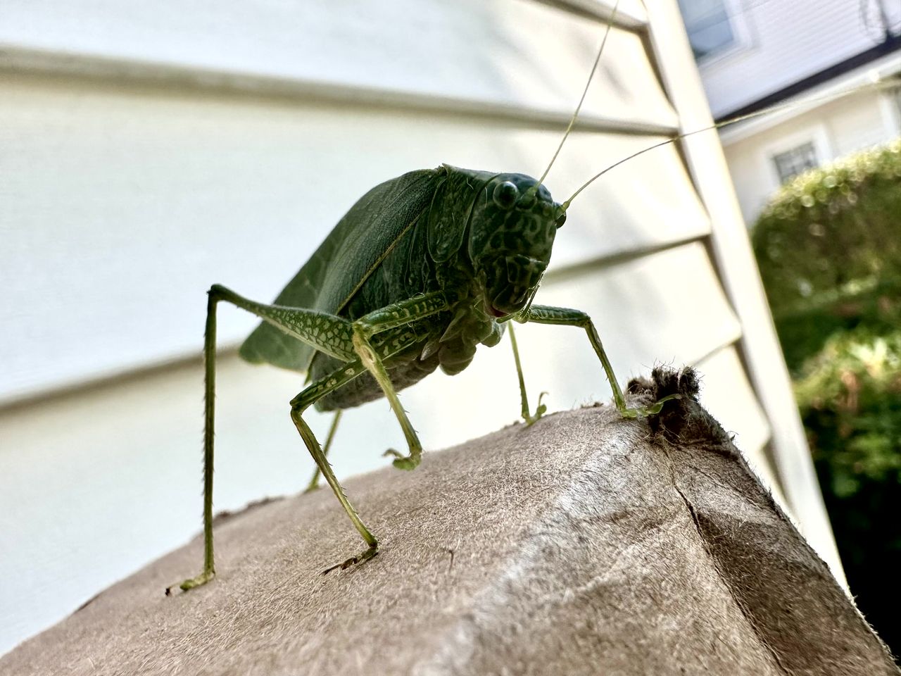 iPhone 14 Pro camera samples