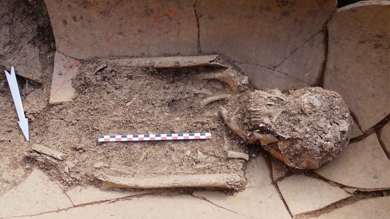 This image shows the head of one of the people buried inside an amphora pot at the necropolis.