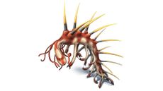Hallucigenia sparsa