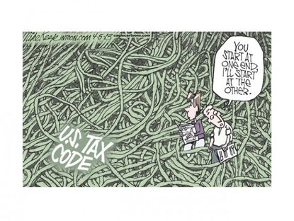 The tax jungle