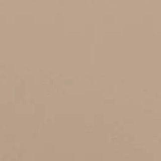 Beige 02: Light Brown Beige Paint