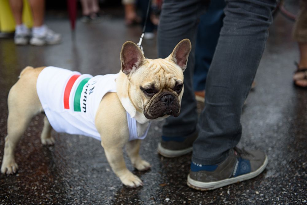 CANYON//SRAM's new recruit? Elena Cecchini brought her dog to the start at Giro Rosa 2016 - Stage 2