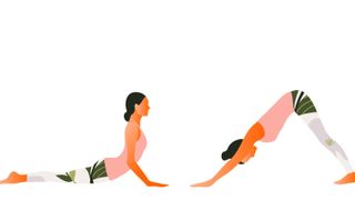 downward dog to upward dog in two images