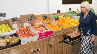 Queen Camilla visits a fruit and veg stall at Carmarthen Market