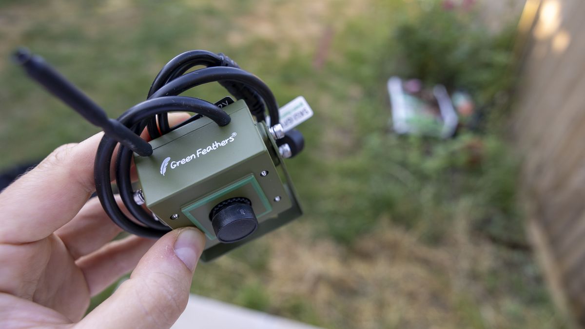 A female hand holding the Green Feathers HD WiFi bird box camera in a summer garden
