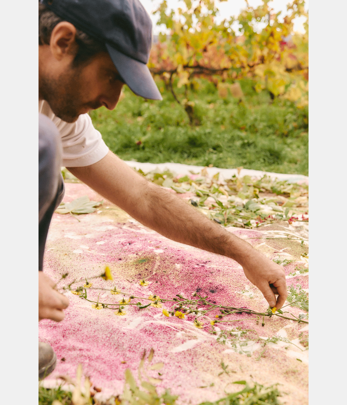 man painting in a vineyard