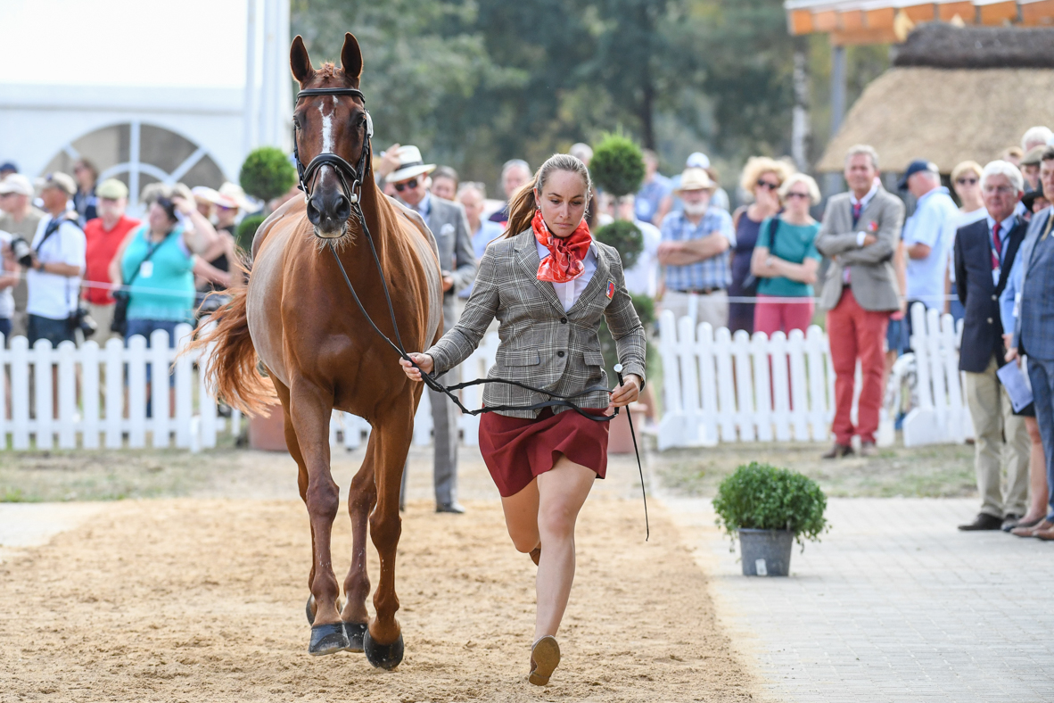 Roxane Gonfard_Opi de Saint Leo_EurosLuhmuhlen_PN19_81795