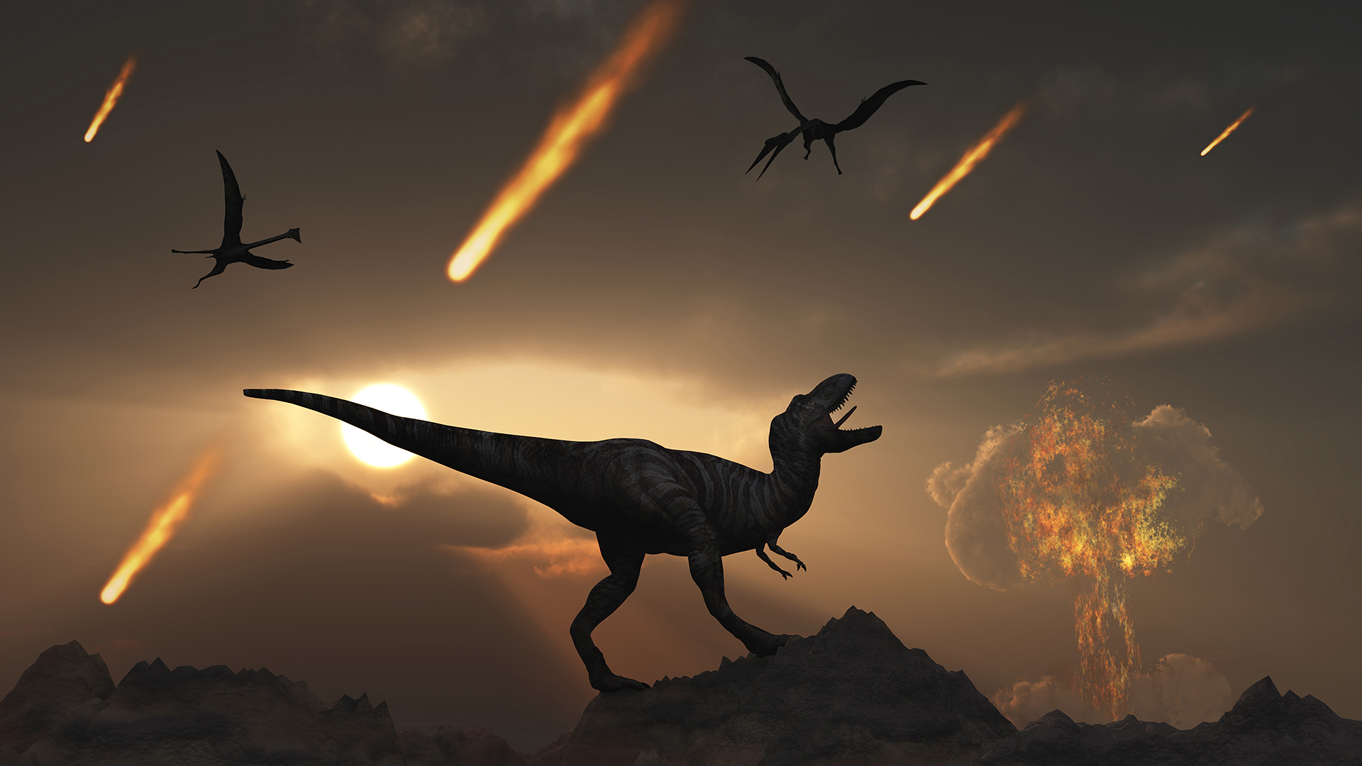 Following the asteroid impact that wiped out the dinosaurs, parts of the planet would have been plunged into darkness.