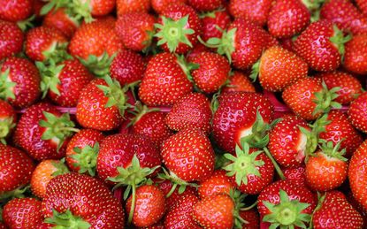1. Favorite Fruit: Strawberries