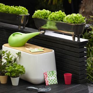 garden area with vegetable pots and watering can