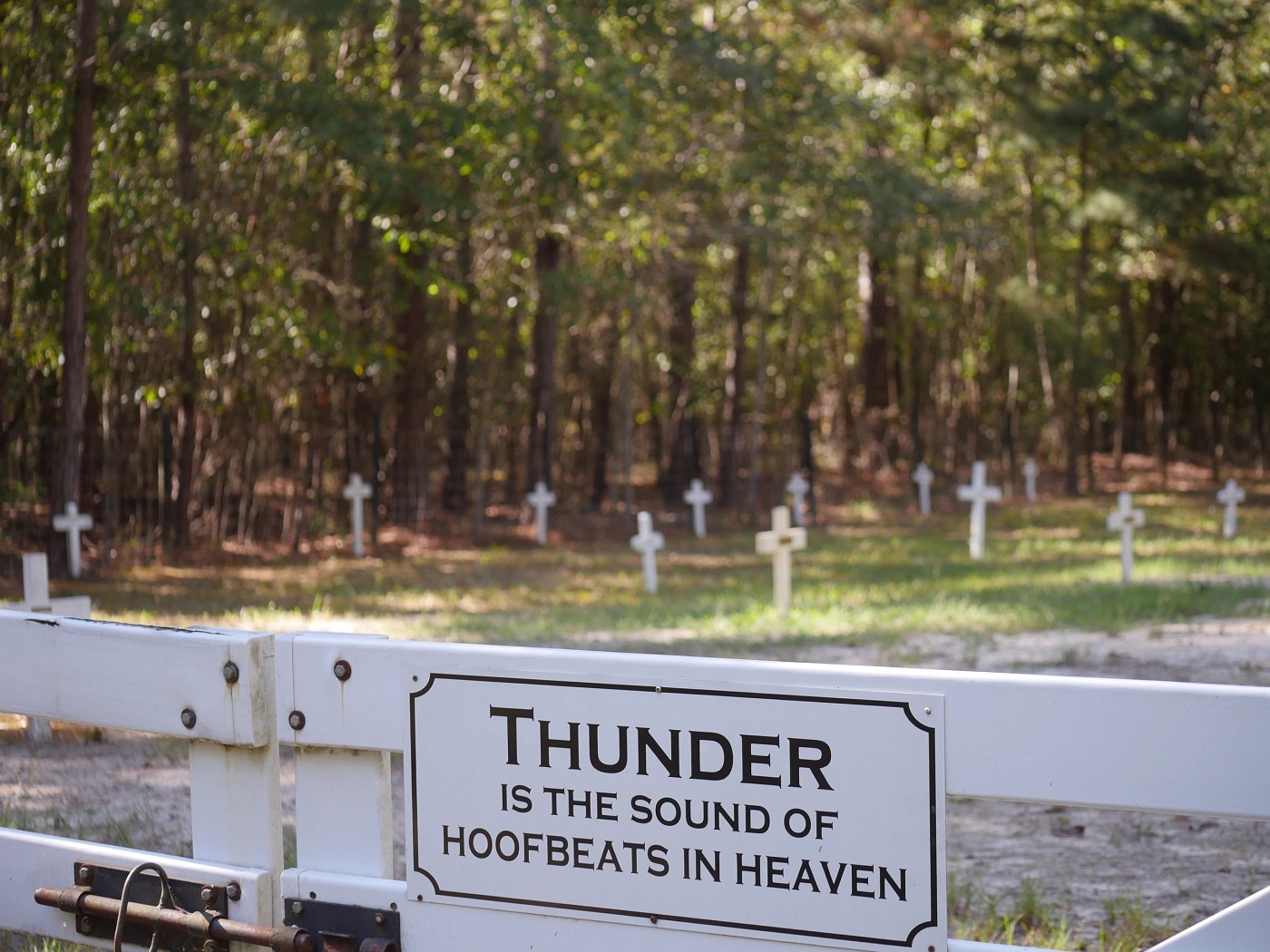 Idle Hour farm has a cemetery for the horses who pass away there