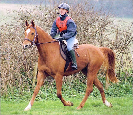 Eclipse and Jade taking part in an endurance competition