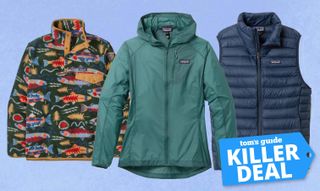 patagonia sale