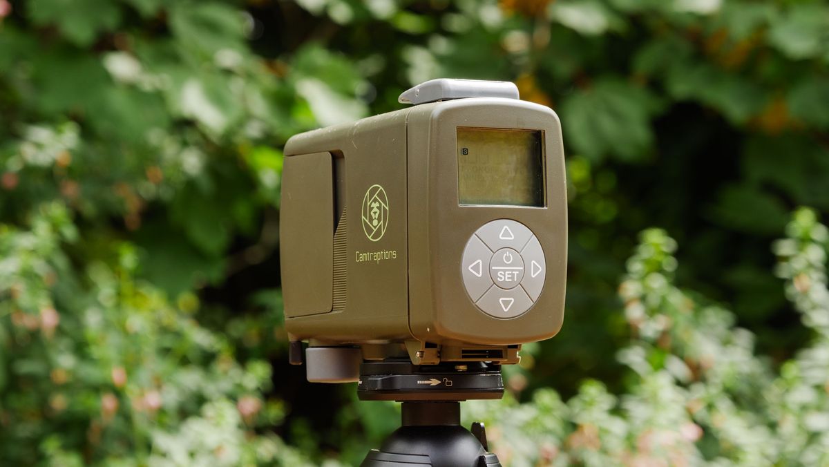 Camtraptions Camera Trap device outdoors with foliage backdrop
