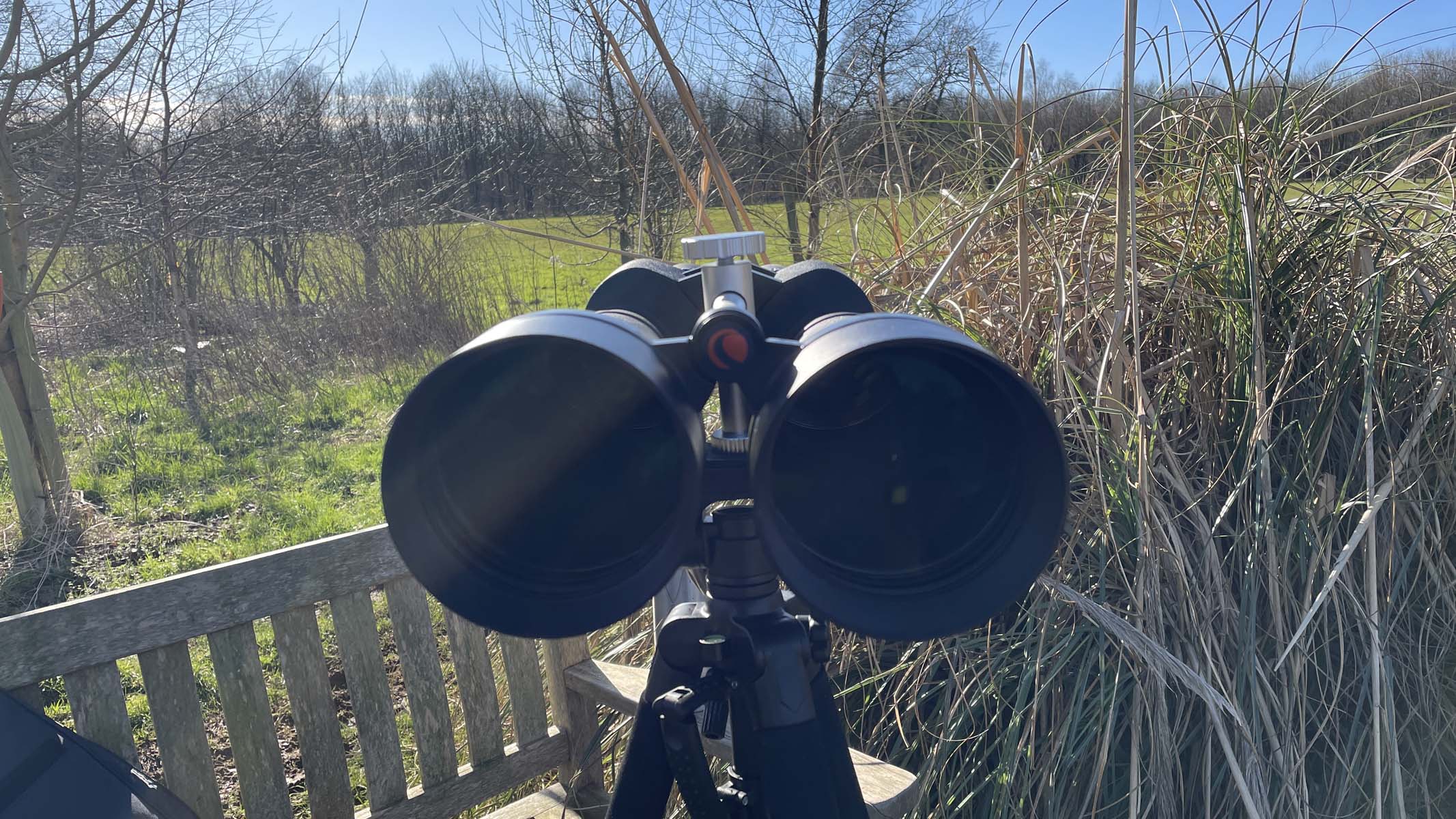 Celestron SkyMaster 25x100