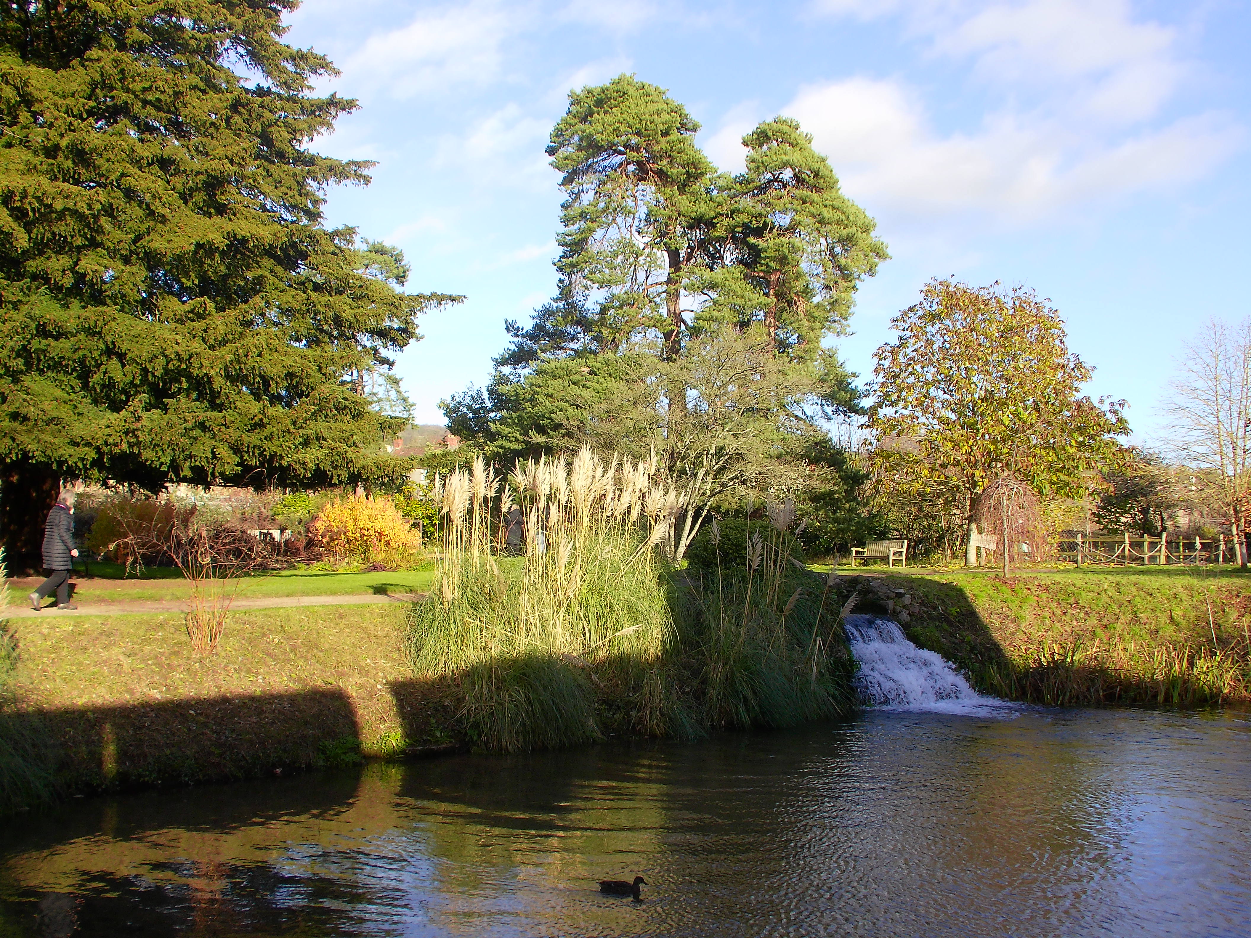 Yashica City 200 example shot