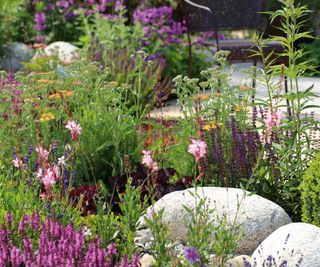 Rock garden with smooth boulders planted with summer flowers