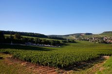 Mercurey, Côte Chalonnaise