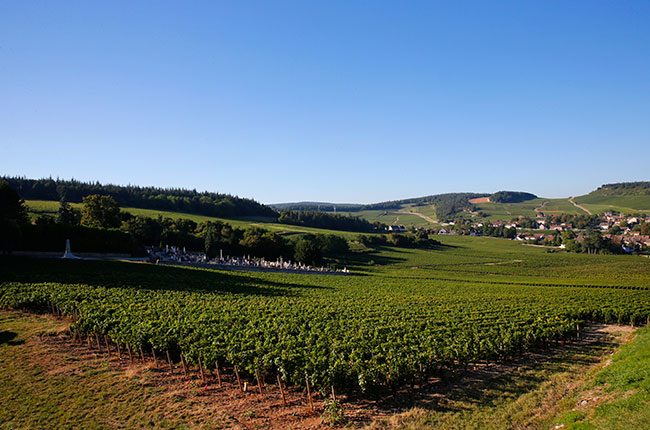 Mercurey, C&ocirc;te Chalonnaise