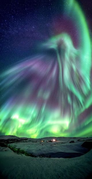 A phoenix aurora seen over Iceland in February 2019 by astrophotographers Jingyi Zhang and Wang Zheng.