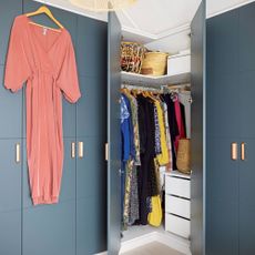 Fitted wardrobes painted blue with hanging clothes inside and pink jumpsuit hung on hanger on door