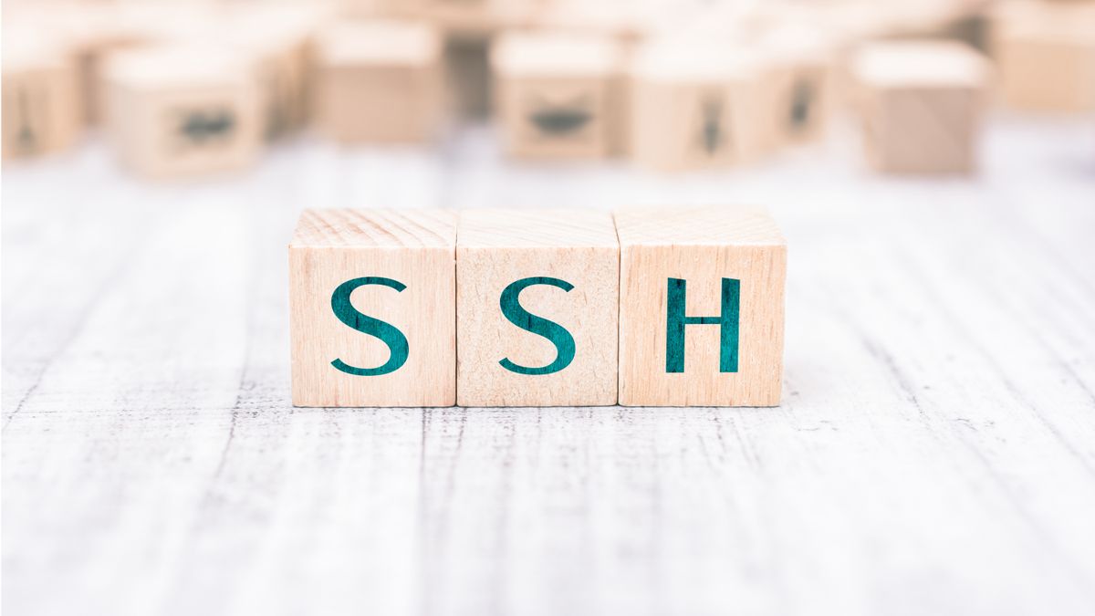 What is SSH access? Everything you need to know