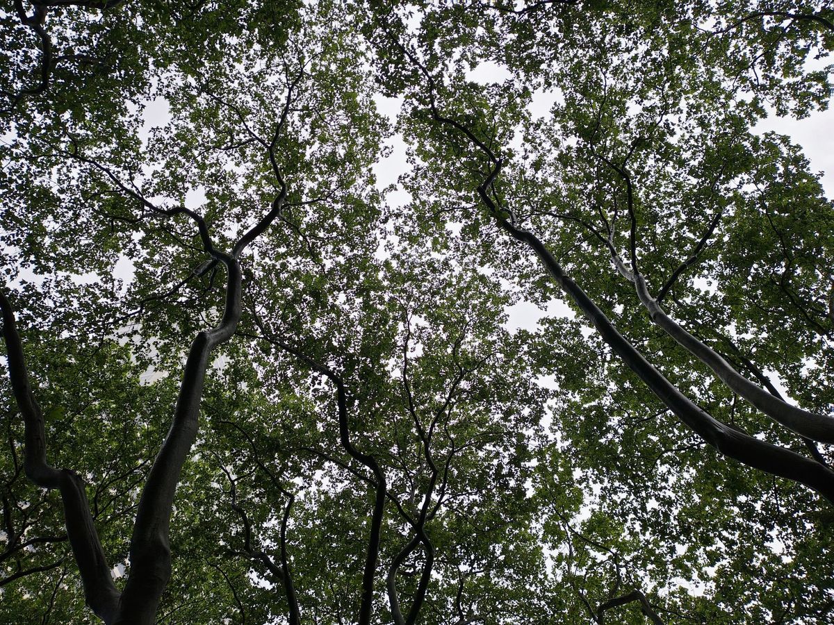 Motorola Razr Plus 2024 dynamic range sample.