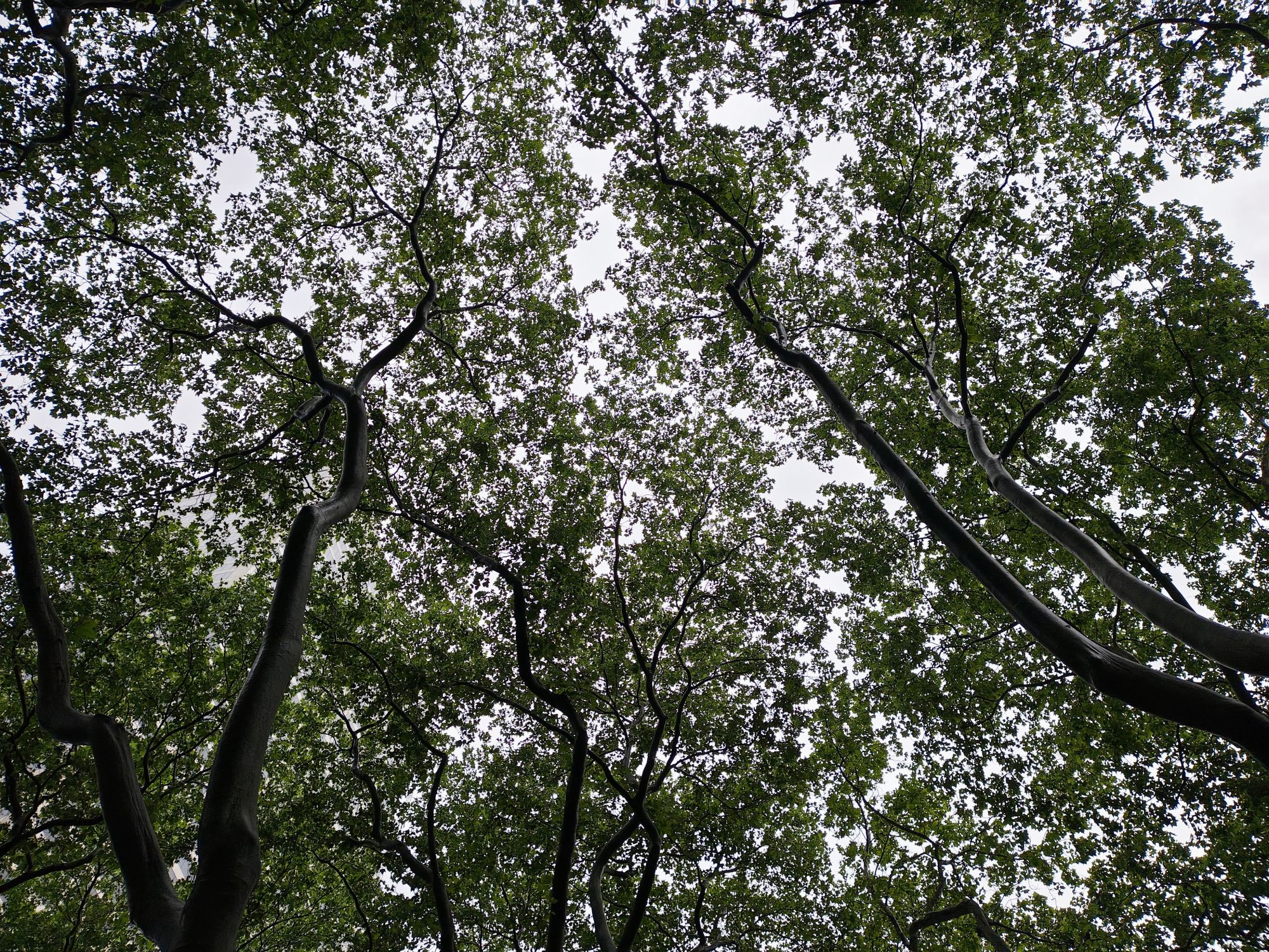 Motorola Razr Plus 2024 dynamic range sample.