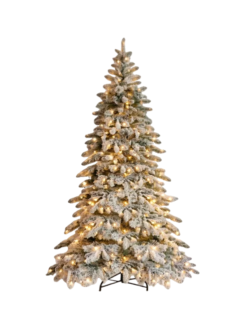 6' Frosted Pre-Lit Fir Christmas Tree