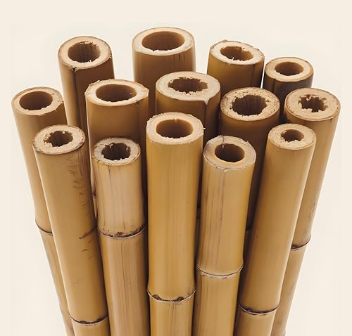 Gardens 2ft,3ft,4ft,5ft,6ft,7ft,8ft,10ft Strong Heavy Duty Professional Bamboo Plant Support Garden Canes (5, 2ft, 12-14 Mm)
