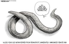 Political Cartoon