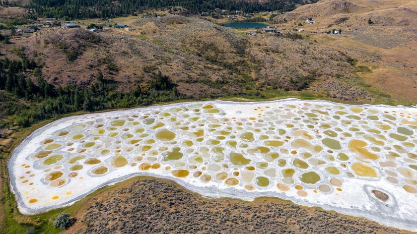 Aerial view of Spotted Lake in Canada. We see a white crust with shallow pools of yellow and greenish water.