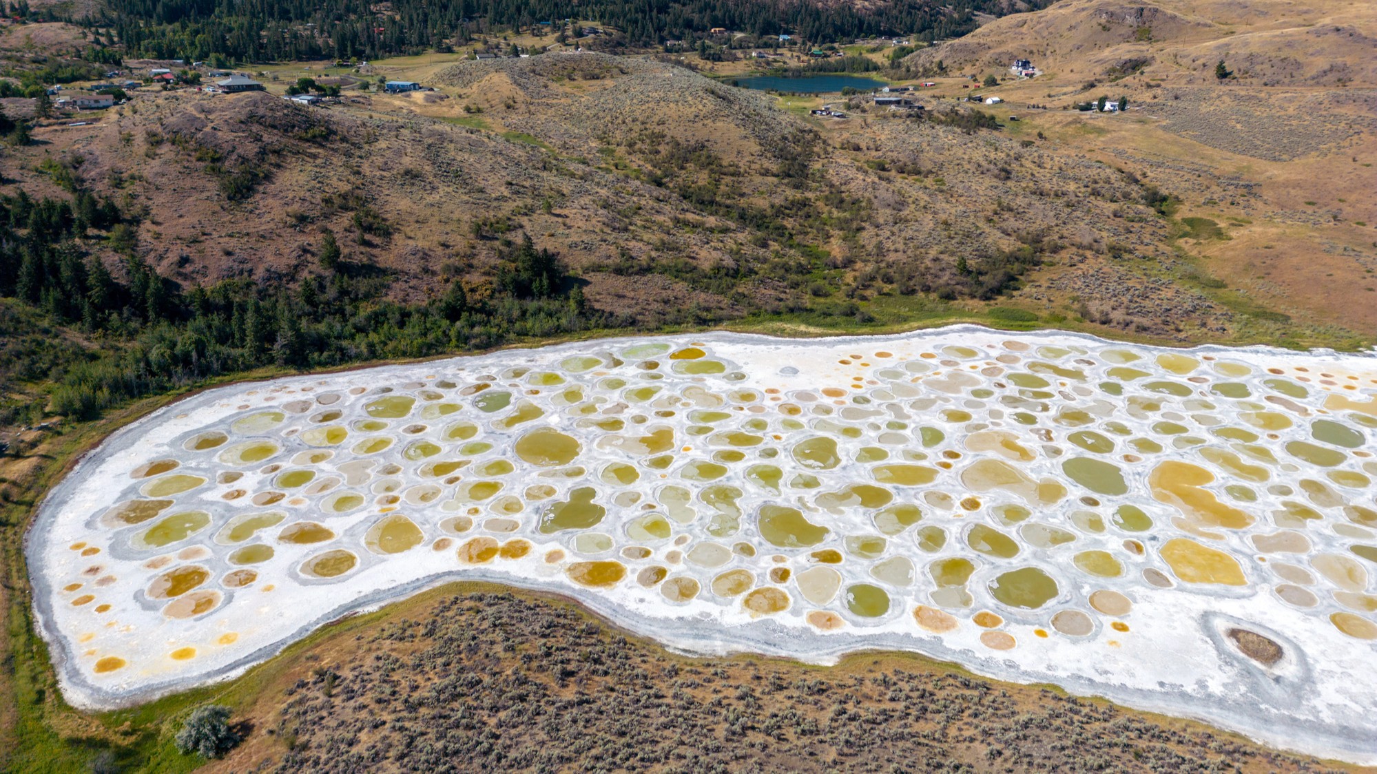 Aerial view of Spotted Lake in Canada. We see a white crust with shallow pools of yellow and greenish water.