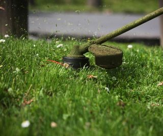 An action closeup of a grass trimmer