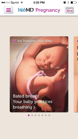 The home screen of the WebMD pregnancy app
